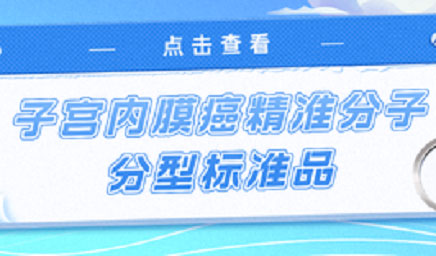 子宮內膜癌精準分子分型標準品，助力POLE基因檢測