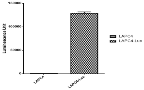 CBP30193L 信號(hào)