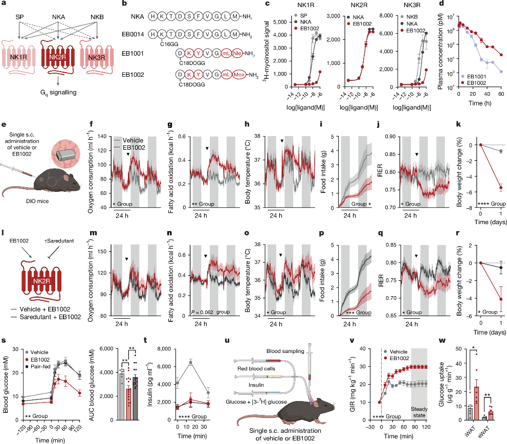 NK2R細胞篩選模型